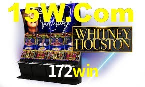 VIP Casino 172win